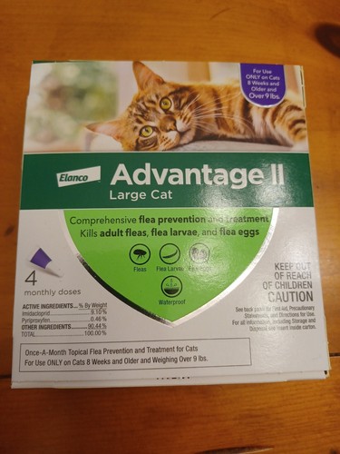 Advantage for large - advantage, ii
