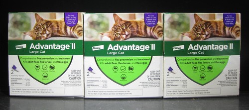 Bayer advantage large cat - advantage,