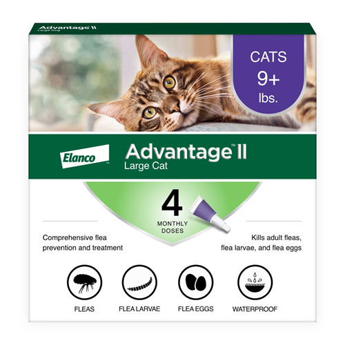 Advantage for large cats - advantage, ii
